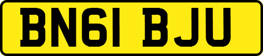 BN61BJU