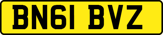 BN61BVZ