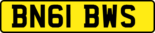 BN61BWS