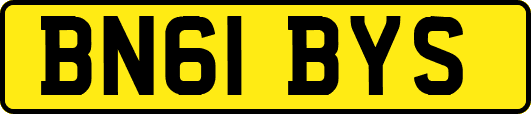 BN61BYS