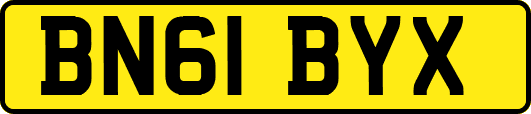 BN61BYX