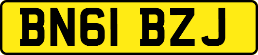 BN61BZJ