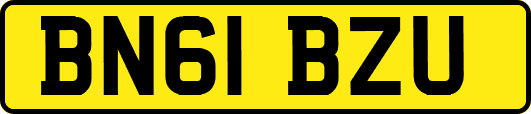 BN61BZU