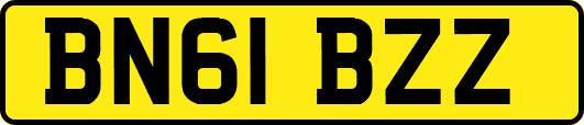 BN61BZZ