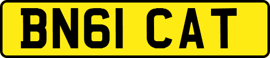 BN61CAT