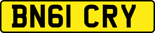 BN61CRY