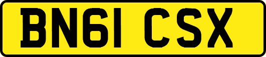 BN61CSX