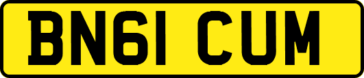 BN61CUM
