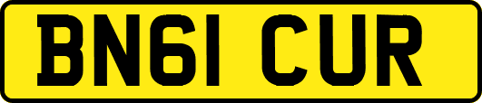 BN61CUR