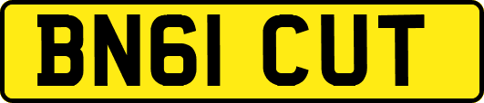 BN61CUT