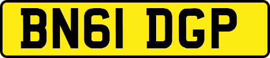 BN61DGP