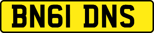 BN61DNS