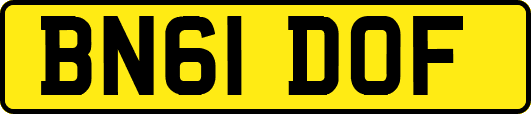 BN61DOF