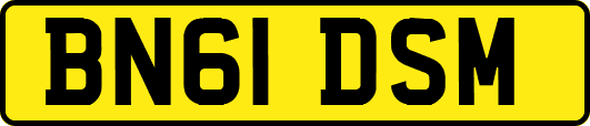 BN61DSM