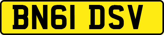 BN61DSV