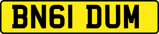 BN61DUM