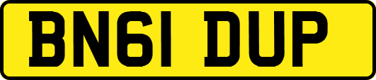 BN61DUP