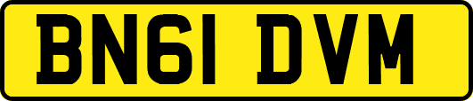 BN61DVM