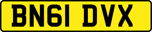 BN61DVX
