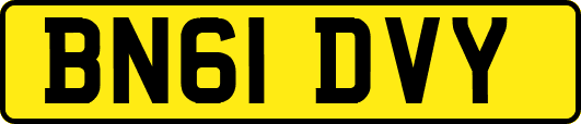 BN61DVY