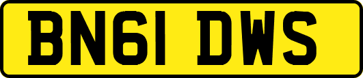 BN61DWS