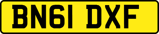 BN61DXF