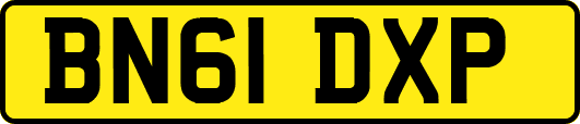 BN61DXP
