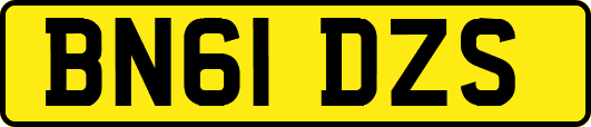 BN61DZS