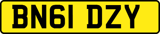 BN61DZY