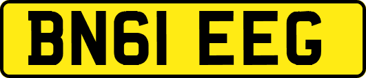 BN61EEG