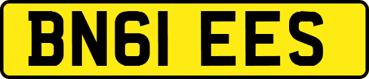 BN61EES