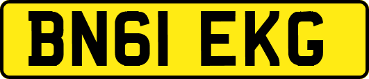 BN61EKG