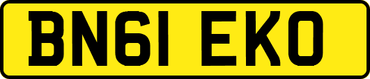 BN61EKO