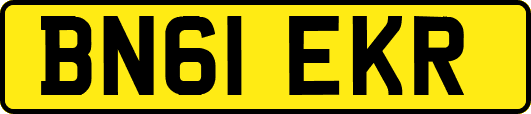 BN61EKR