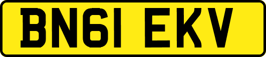 BN61EKV