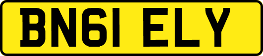 BN61ELY