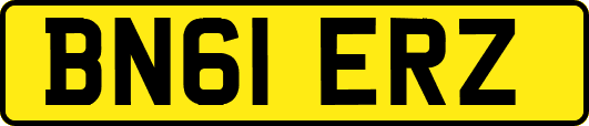 BN61ERZ