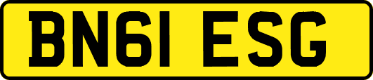 BN61ESG