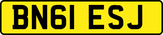 BN61ESJ