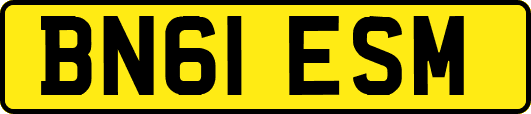 BN61ESM