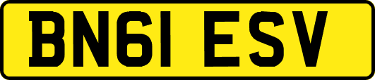 BN61ESV