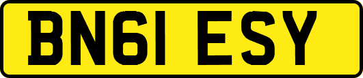 BN61ESY