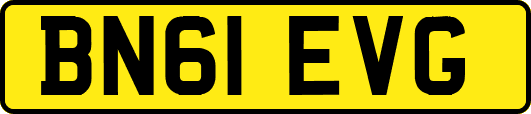 BN61EVG