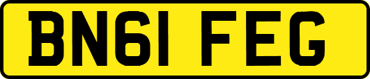 BN61FEG