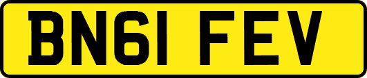 BN61FEV