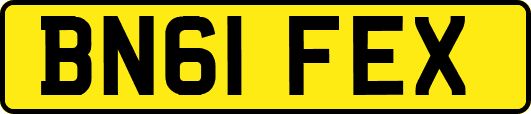BN61FEX
