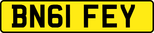 BN61FEY