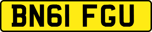 BN61FGU