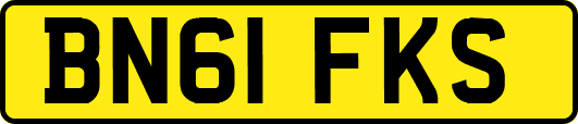 BN61FKS