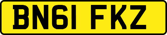 BN61FKZ